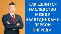 Спор о наследственном имуществе — как правильно разделить долю без указания долей